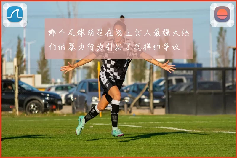 哪个足球明星在场上打人最强大他们的暴力行为引发了怎样的争议