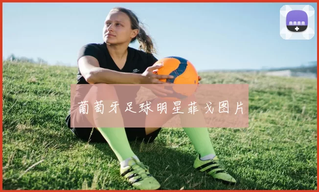 葡萄牙足球明星菲戈图片