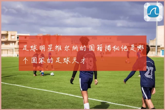 足球明星维尔纳的国籍揭秘他是哪个国家的足球天才